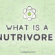 What is a Nutrivore?